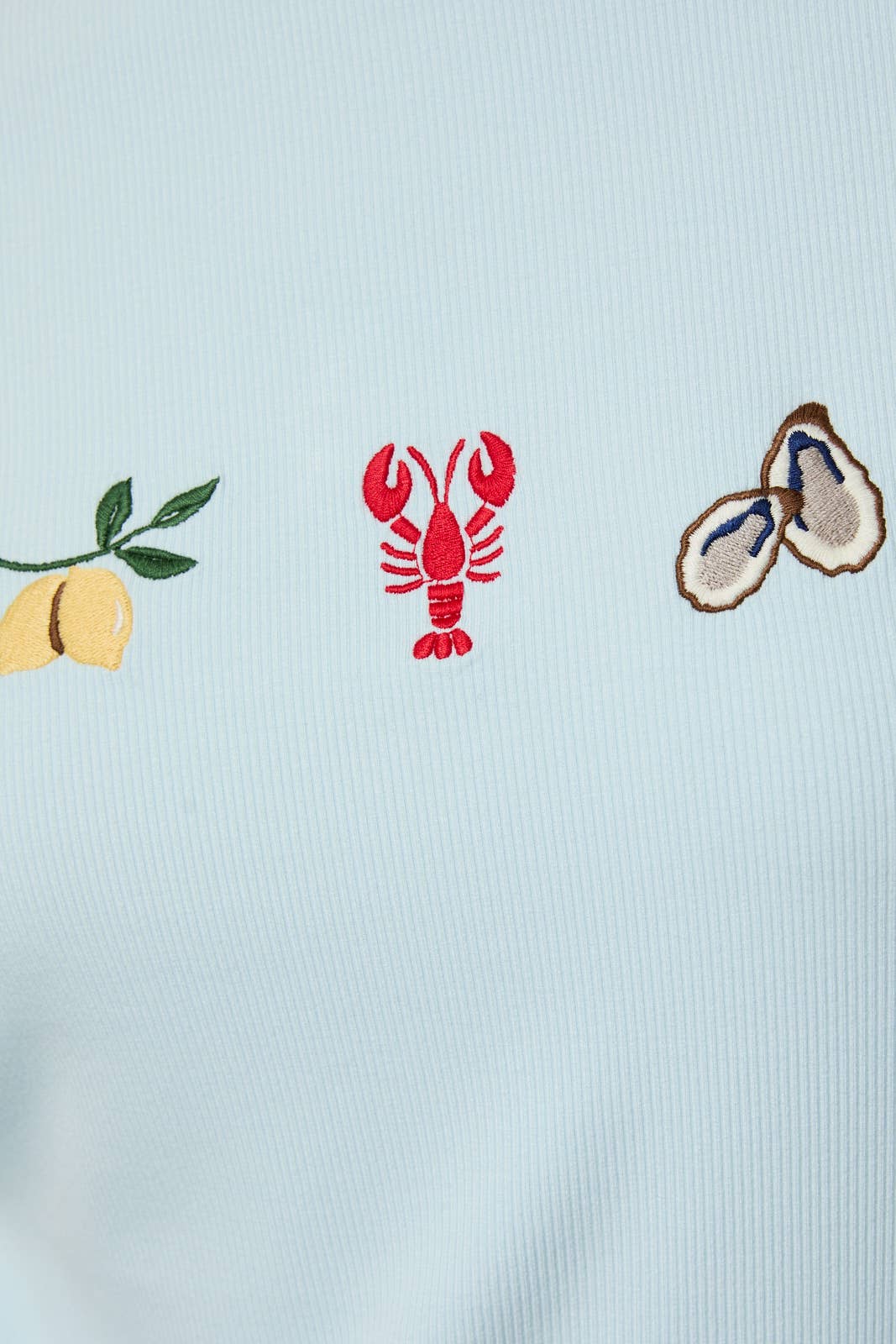 Coastal Embroidered Ribbed T-Shirt