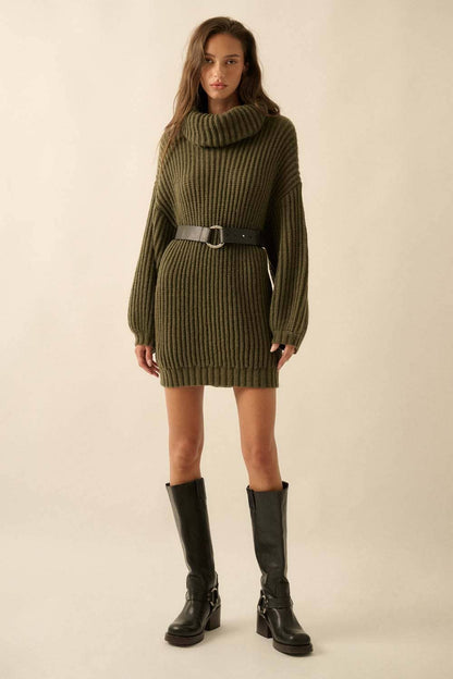Rib Knit Turtle Neck Sweater Dress