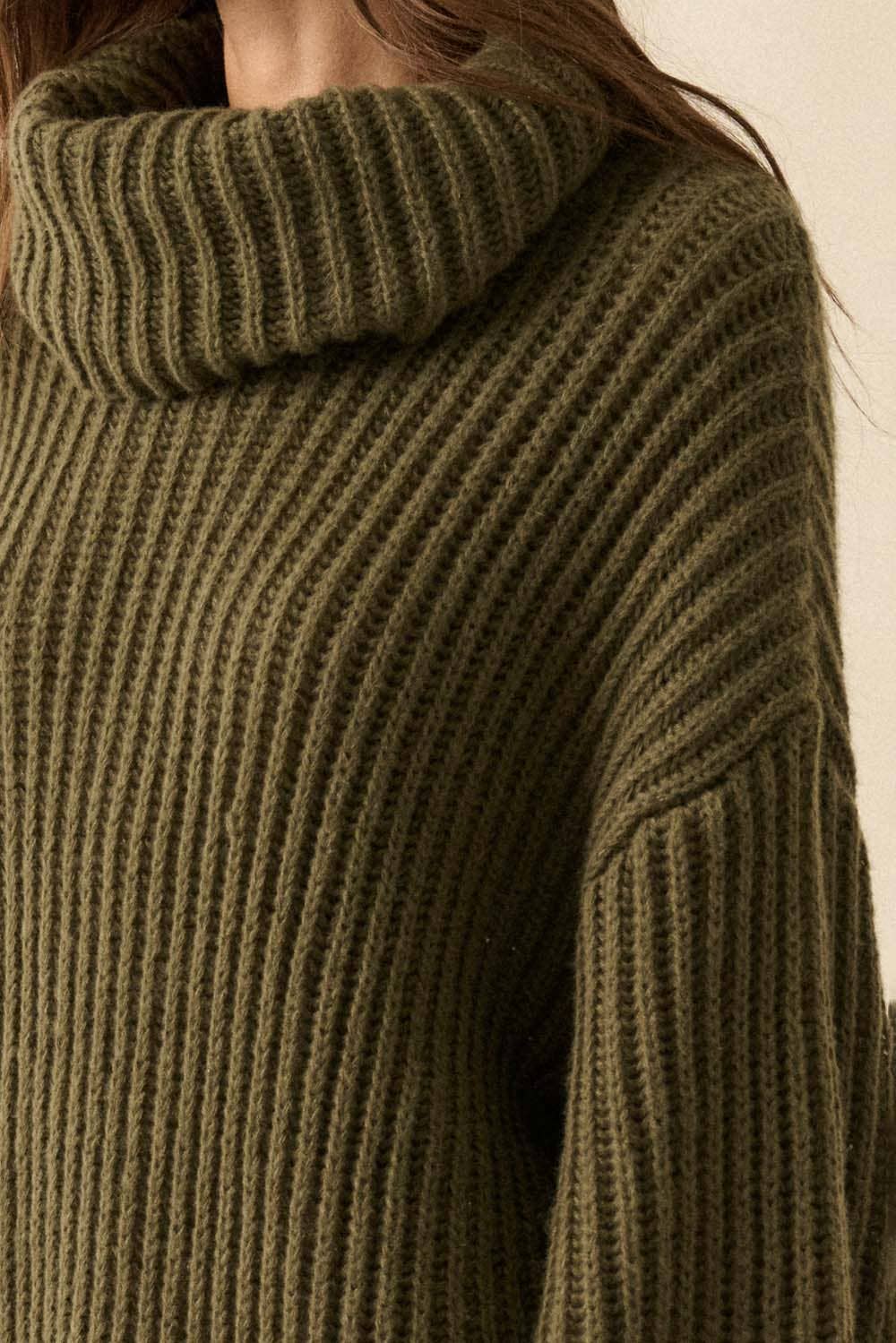 Rib Knit Turtle Neck Sweater Dress