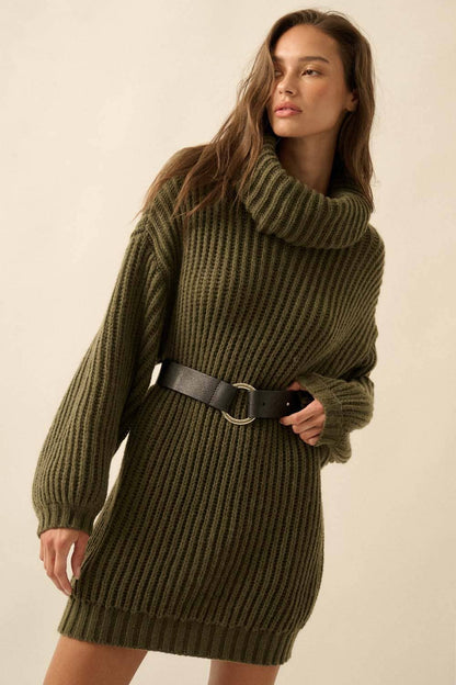 Rib Knit Turtle Neck Sweater Dress