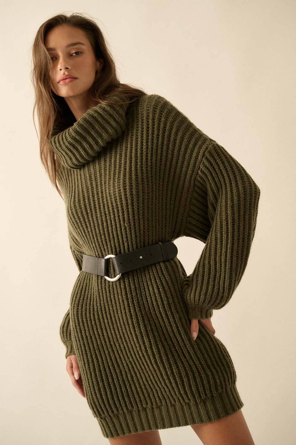 Rib Knit Turtle Neck Sweater Dress