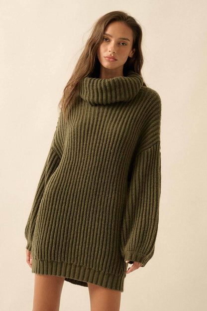 Rib Knit Turtle Neck Sweater Dress
